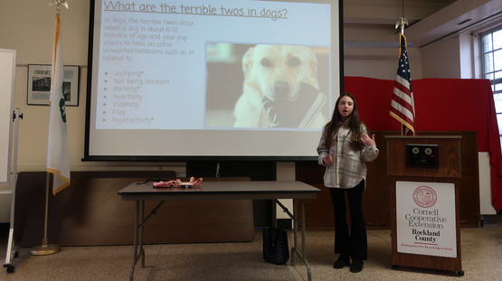 Terrible Twos - Dog Edition