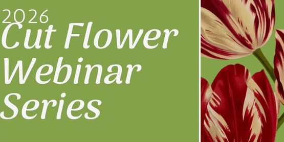 Cut Flower Webinar Series