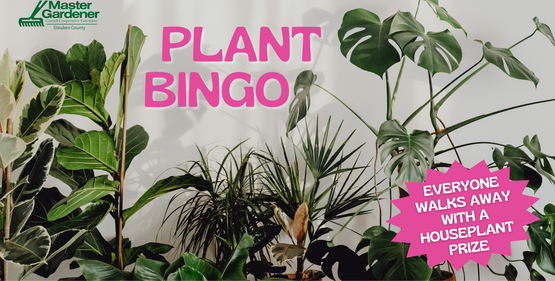 Plant Bingo event