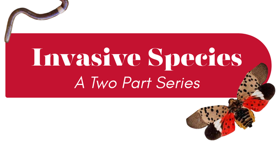 BANNER Invasive Series