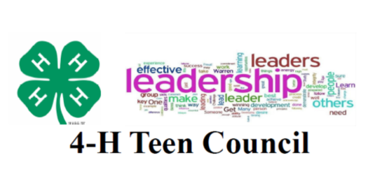 4-H Teen Council