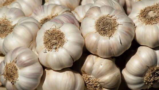 Garlic Bulbs