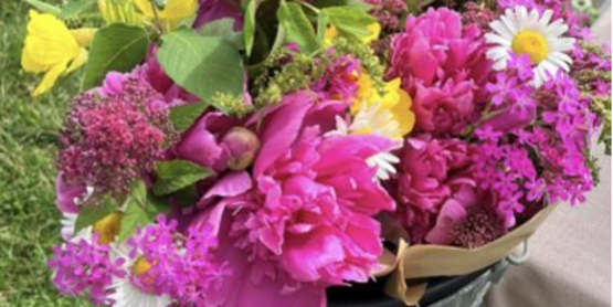 2026 NYSFI Greenhouse and Growers School 