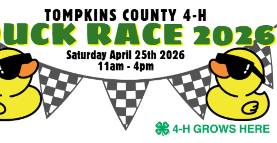 duck race 2026 banner