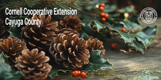 pinecones, evergreen boughs and red berries Cornell Cooperative Extension Cayuga County and Cornell University seal