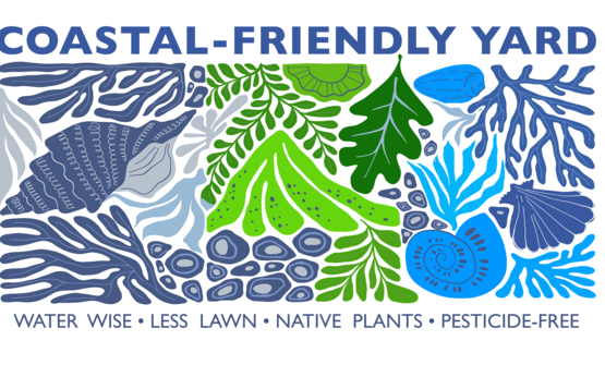 coastal-friendly yard rectangle