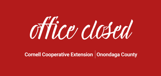 office closed