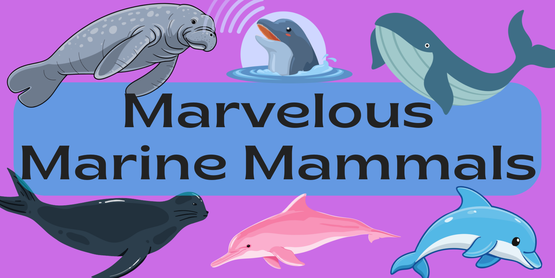 marvelous marine mammals semc