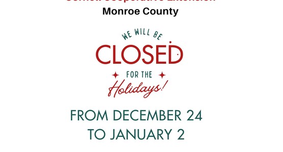 Closed for the Holidays