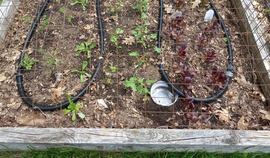 Soaker hoses for irrigation