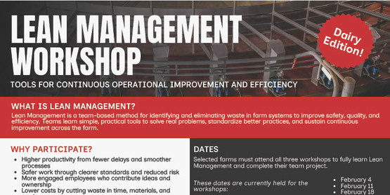 Lean Management Workshop 2026