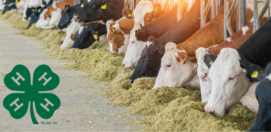 2026 Livestock Judging and Skillathon