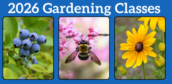2026 Gardening Classses
