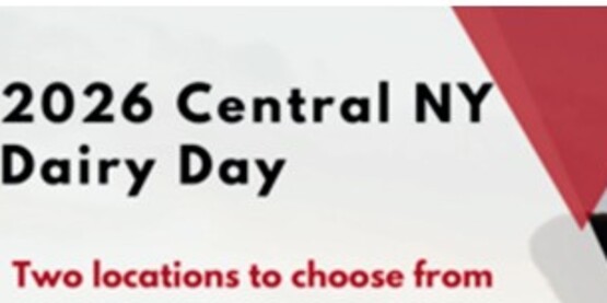 Achieving Higher Standards in Dairy Welfare
Maintaining Cow Comfort
Financial Management through expansion projects