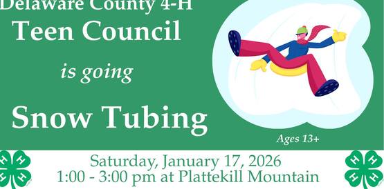 Teen Council Tubing