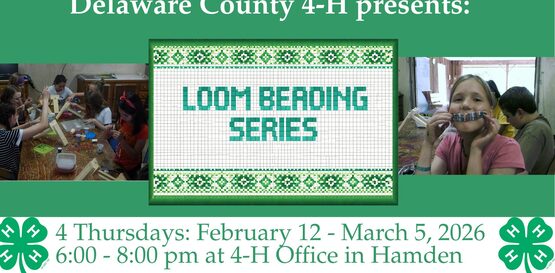 4-H Loom Beading