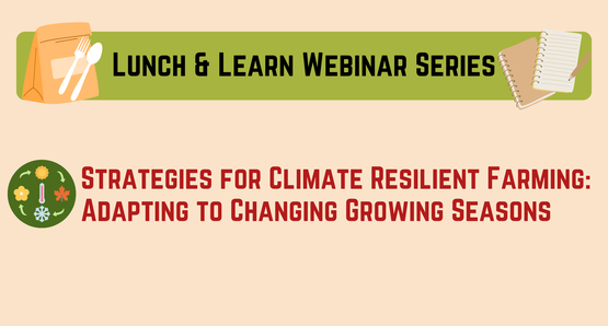 Lunch & Learn Class 1