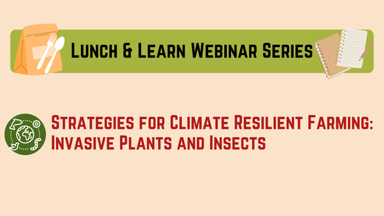 BANNER Lunch & Learn 3