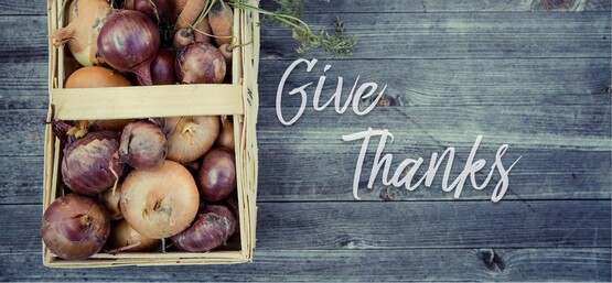 Thanksgiving Graphic 