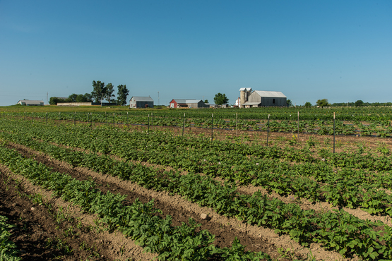 Yoder Farm Produce, Heuvelton, NY