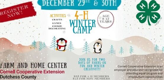 2025 4-H Winter Camp Header
