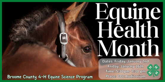 ​4-H Horse Program

You don't need to own a horse to join our horse program! This group is open to all youth interested in learning more about horses through hands-on activities and friendly competitions. We plan to meet about twice a month for study sessions or field trips, covering a variety of topics in equine science. The program is designed to prepare and motivate members for optional participation in 4-H Hippology, Horse Bowl, and Horse Judging competitions.

Each meeting starts with a short review of previous lessons, followed by a new topic. Returning members will have the chance to dive deeper in an advanced study group, while new members will join a beginner-friendly group to build a solid foundation. To keep things fun and engaging, we mix in games, crafts, or interactive activities at each session.

Who: All Broome County 4-H Members

When:

Friday, January 2nd: 5:30pm- 7:30pm

Friday, January 16th: 5:30pm- 7:30pm

Time: 5:30pm- 7:30pm

Where: CCE Auditorium

Equine Health Month

We are dedicating the month of January to equine health. During these meetings we will cover topics such as equine vital signs, first aid, vaccinations, diseases, parasites, and more. Miniature horse Autumn may visit to assist in these programs as well.