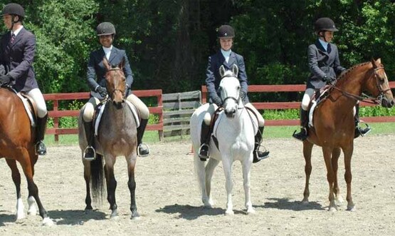 Equestrienne competition, 4-H Fair, Chenango County