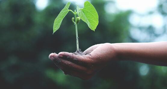 Ag Climate Resliency