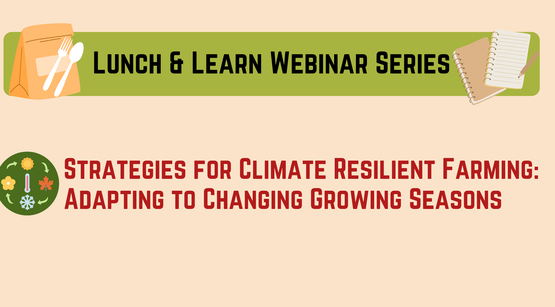 Lunch & Learn Class 1