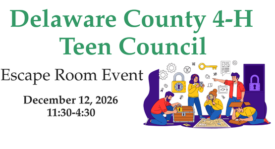 Teen Council