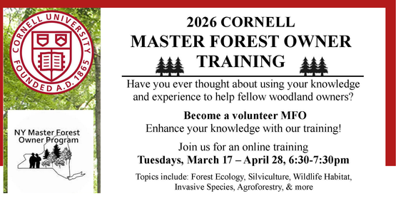Master Forest Owner Volunteer