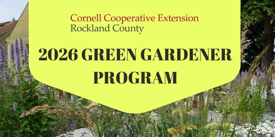 2026 GG Program Flyer