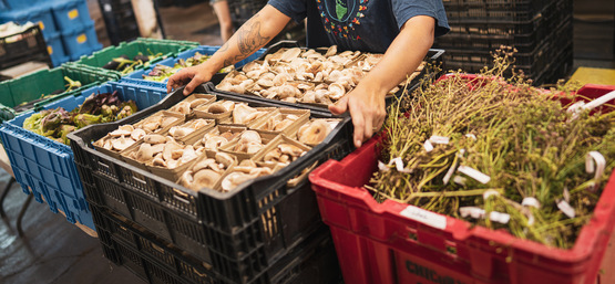 CAA multi-farm CSA in action