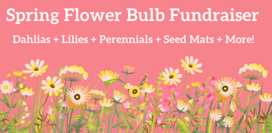 Spring Flower Bulb Fundraiser
Dahlias + Lilies + Perennials + Seed Mats + More