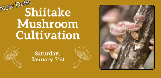 NEW DATE!
Shiitake Mushroom Cultivation
Saturday, January 31st