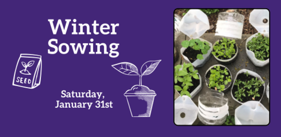 Winter Sowing
Saturday, January 31st