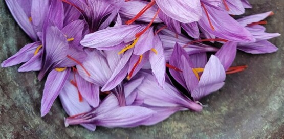 Saffron