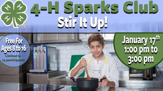 4-H Sparks Club Stir It Up Banner