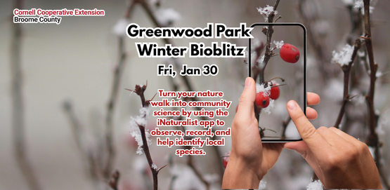 2026 Winter BioBlitz