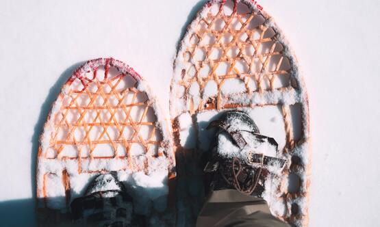 Snowshoes, Winter Activity, 