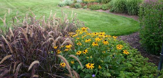 landscape border and lawn