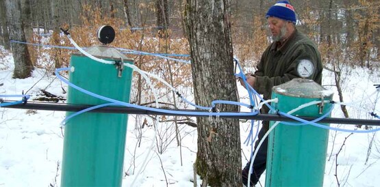 New York State Maple Specialist Steve Childs checking sap lines