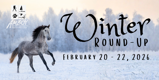 2026 Winter Round-Up