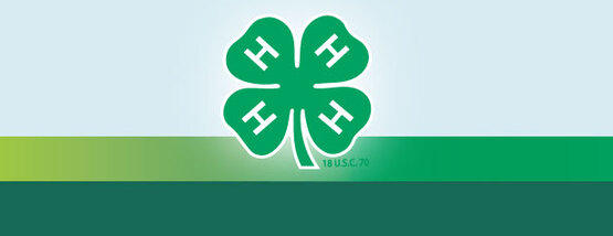 4-H Emblem Rainbow