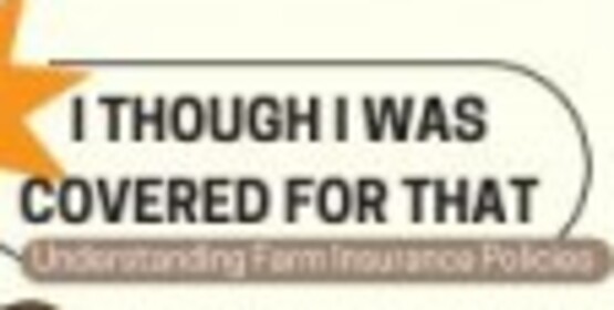 Liability Insurance is coverage for the risk that your business will cause harm to someone.