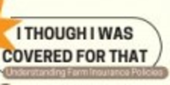 Liability Insurance is coverage for the risk that your business will cause harm to someone.