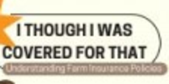 Liability Insurance is coverage for the risk that your business will cause harm to someone.