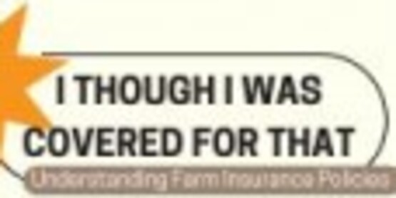 Liability Insurance is coverage for the risk that your business will cause harm to someone.