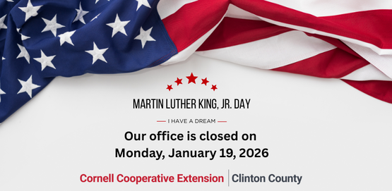 MLK National Holiday