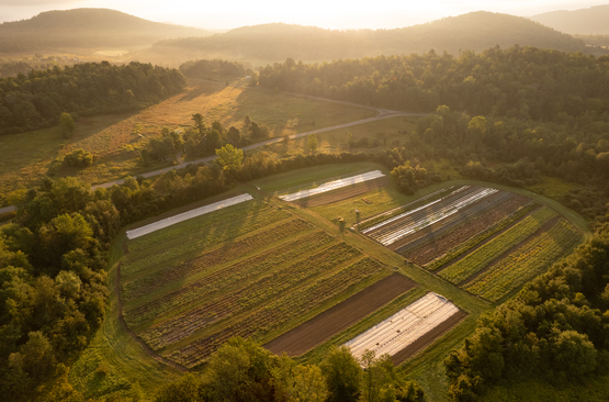 Juniper Hill Farm in Westport, NY
